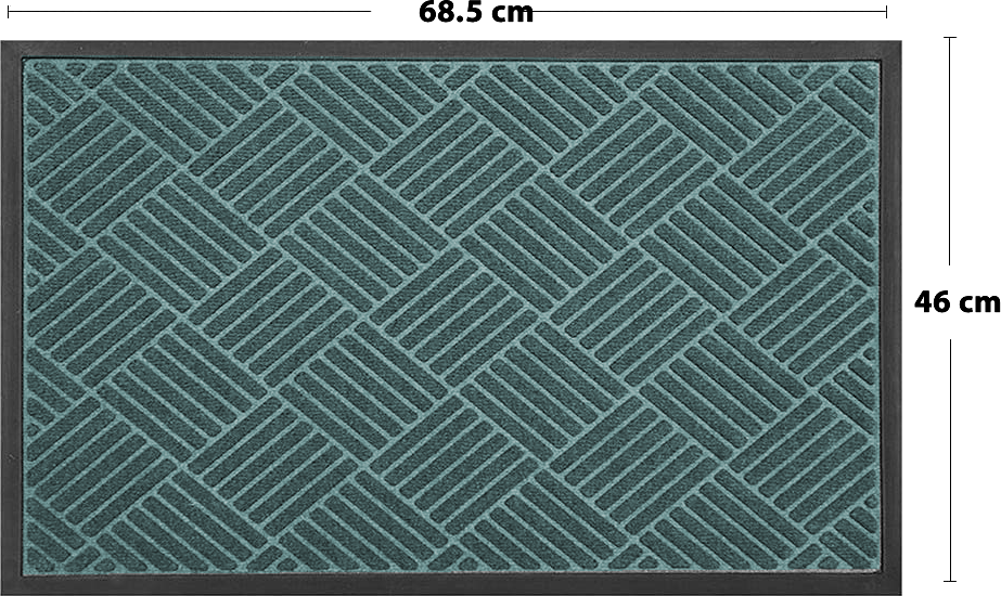 Tapete alfombra para entrada de secado | Queretaro | TapeteCity